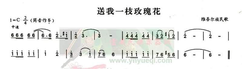 ����һ֦õ�廨(�Ź~�P���V)1