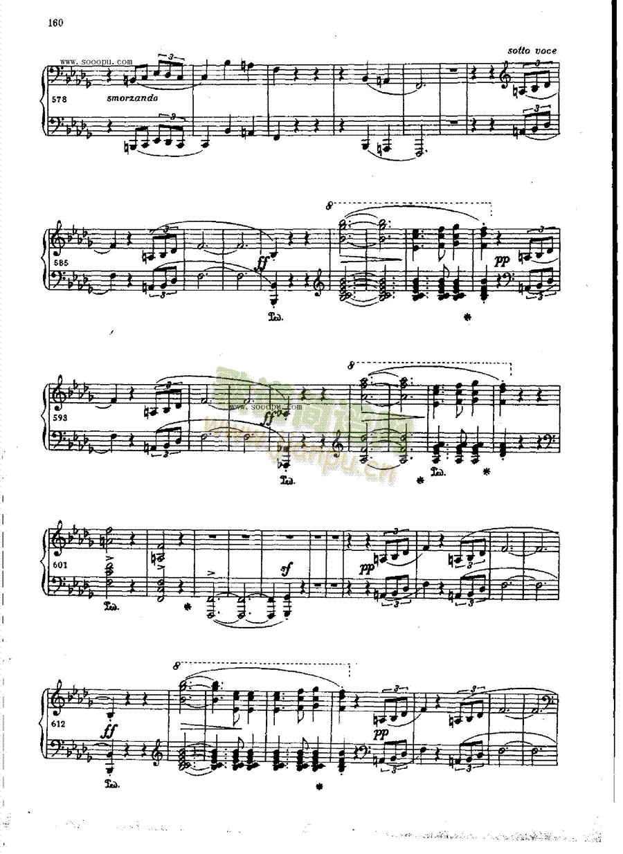 �C�o��OP.31�I�P(p��n)�(l��i)���(������(l�� )�V)18