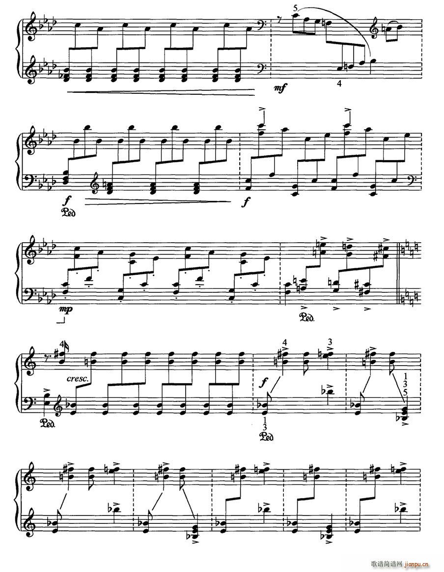 Ƥ�S ���Ƶ�(����V)10