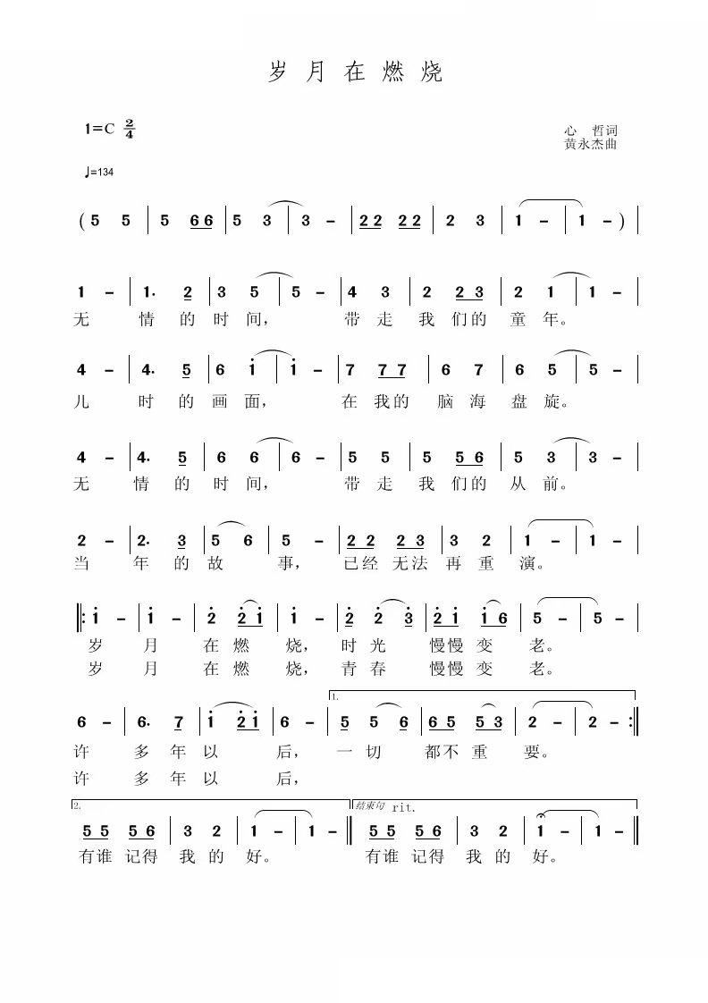 �q����ȼ��(���ָ��V)1