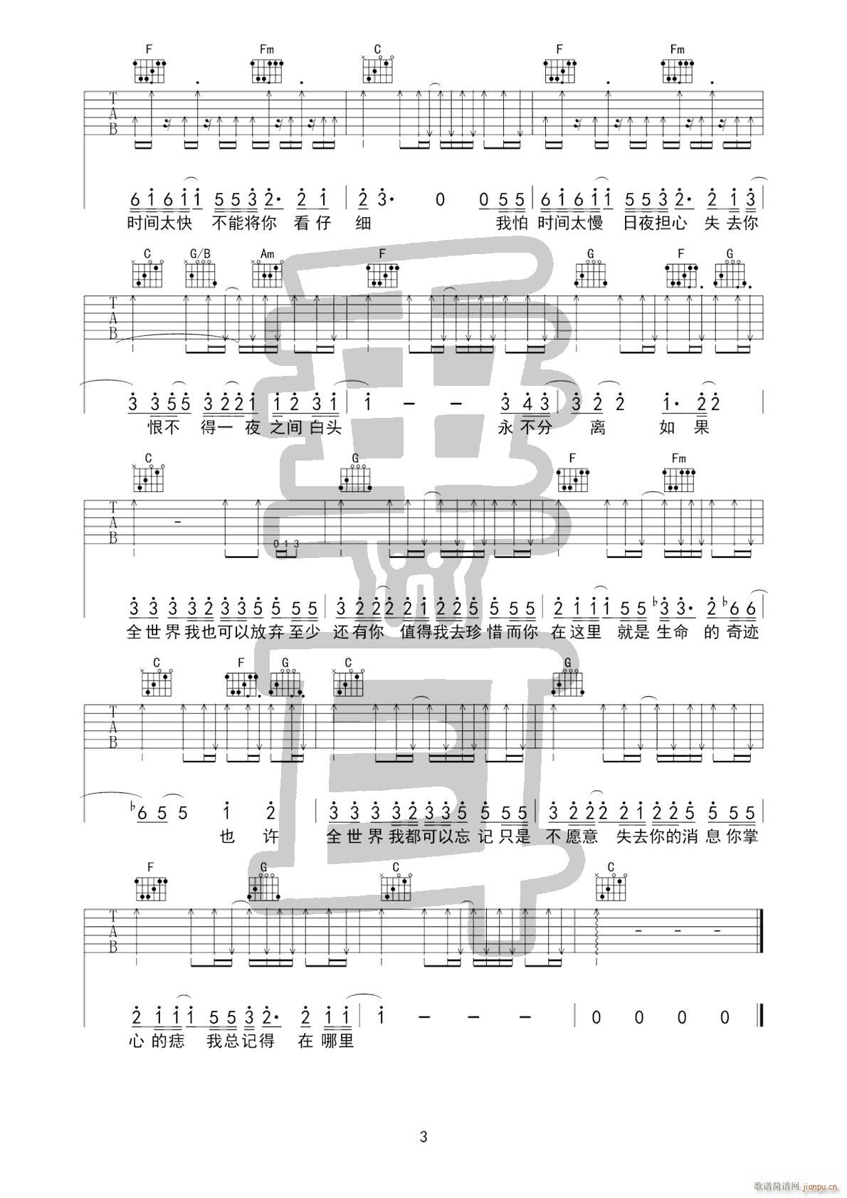 ����߀���� C�{ԭ�澎��(�����V)3