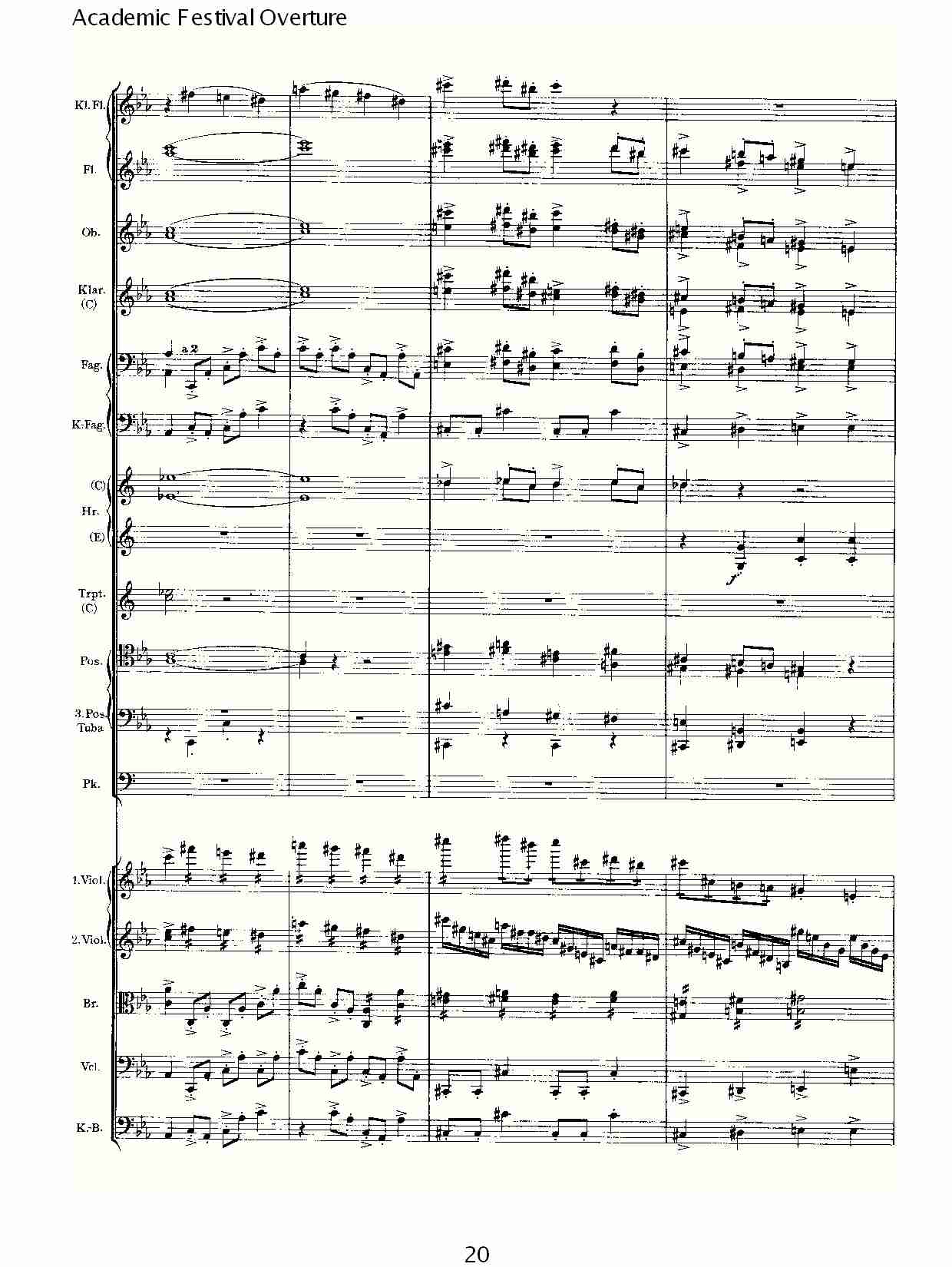 Academic(���V)5