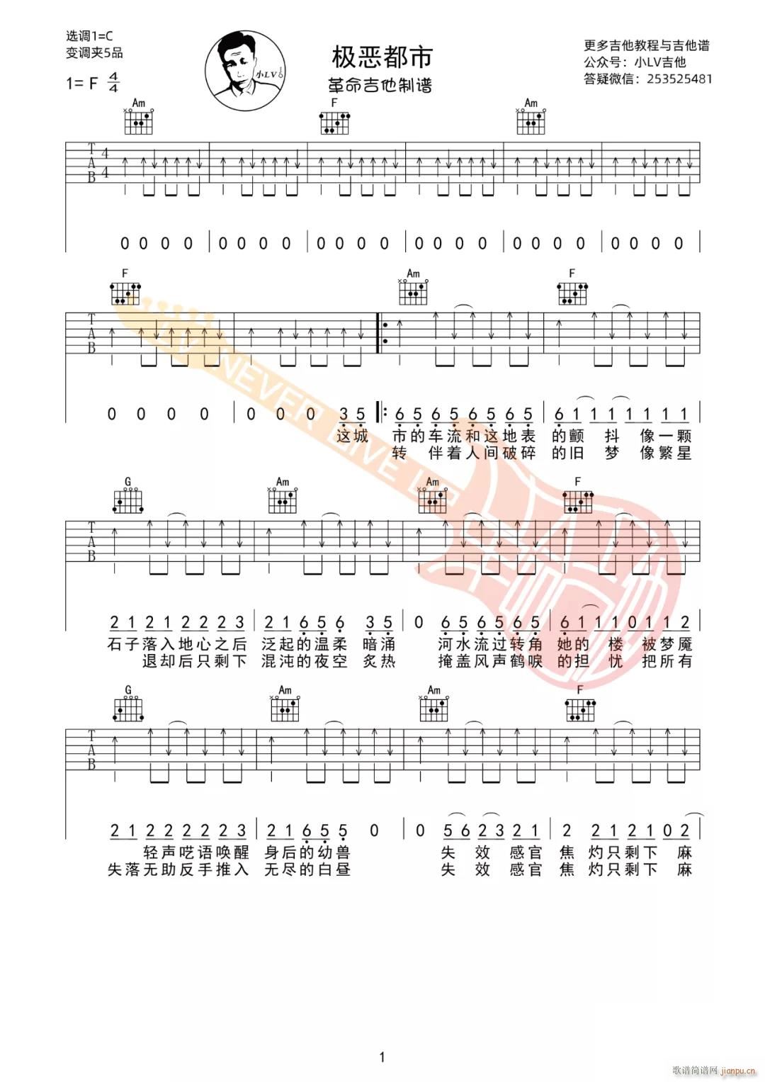 �O������ C�{ָ������(�����V)1