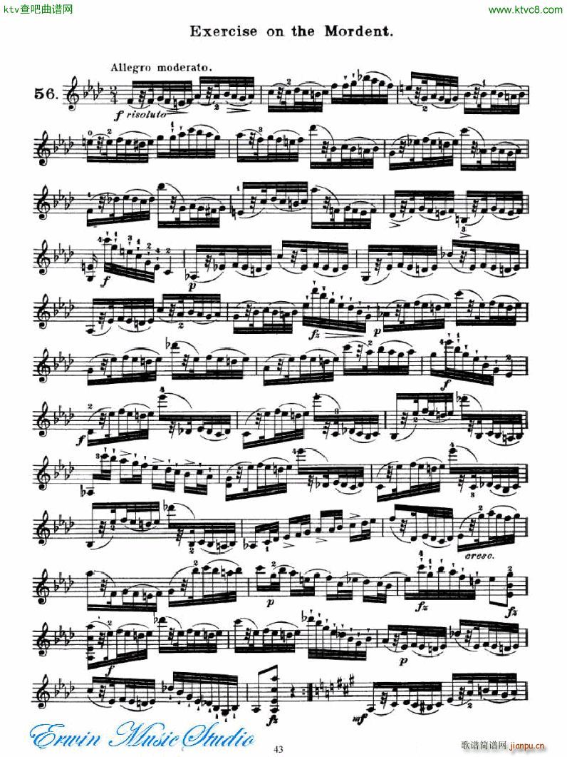 �R��˹ 75�םu�M(j��n)ʽ���ɾ��� �D��(sh��)2 27��Brilliante ����3(ʮ�ּ�����)12