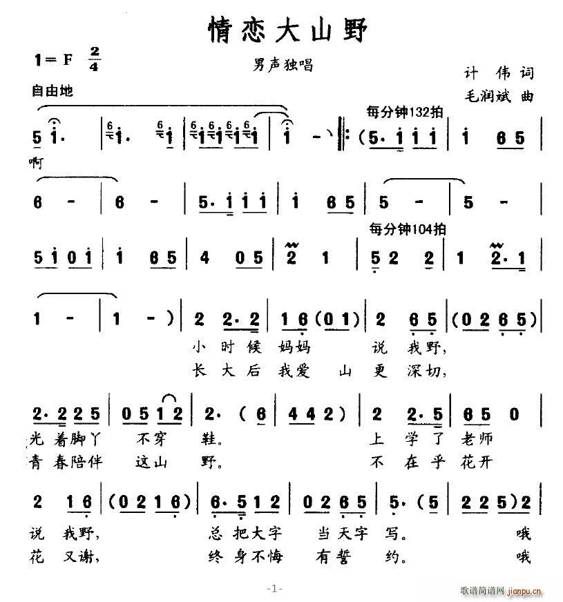 ��ٴ�ɽҰ(���ָ��V)1