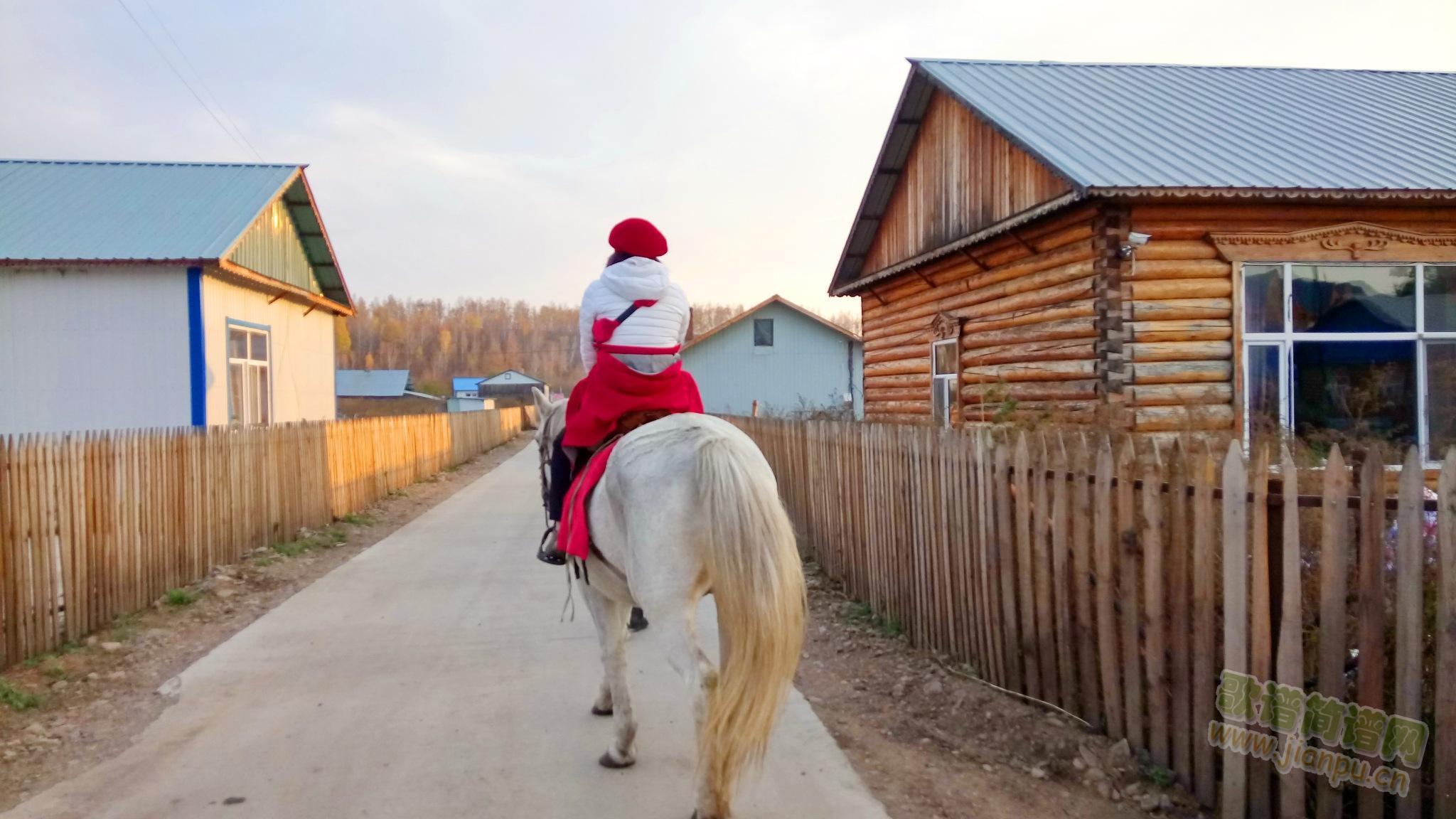 �����w(���ָ��V)1