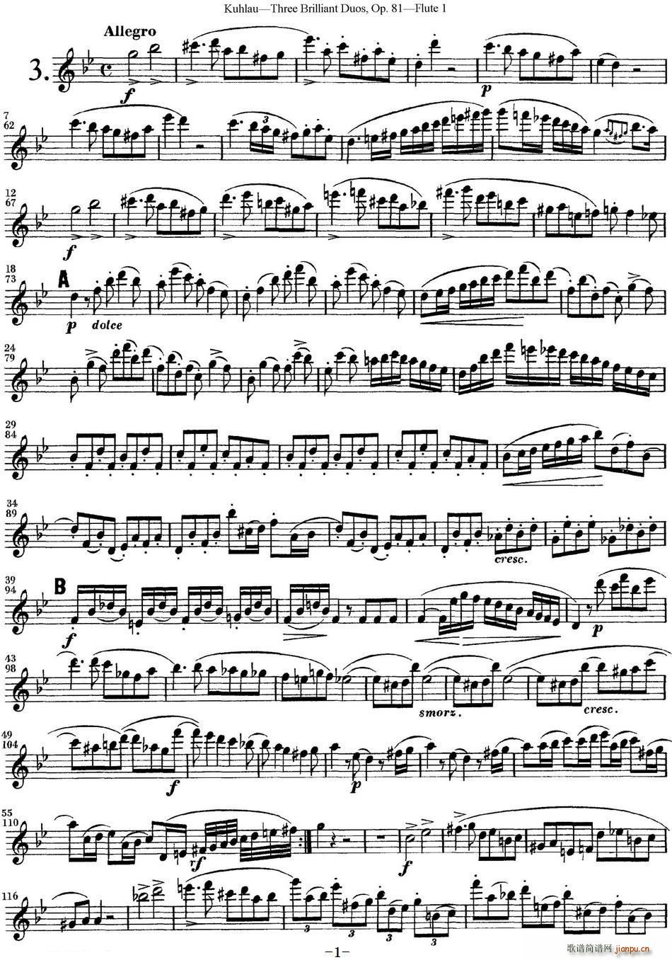 ����L(ch��ng)�Ѷ����ྚ������OP 81 Flute 1 NO 3(�Ѻ��V)1