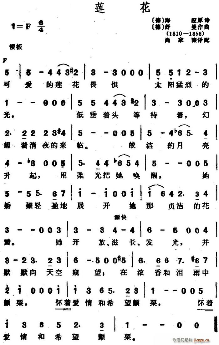 �� ɏ��(���ָ��V)1