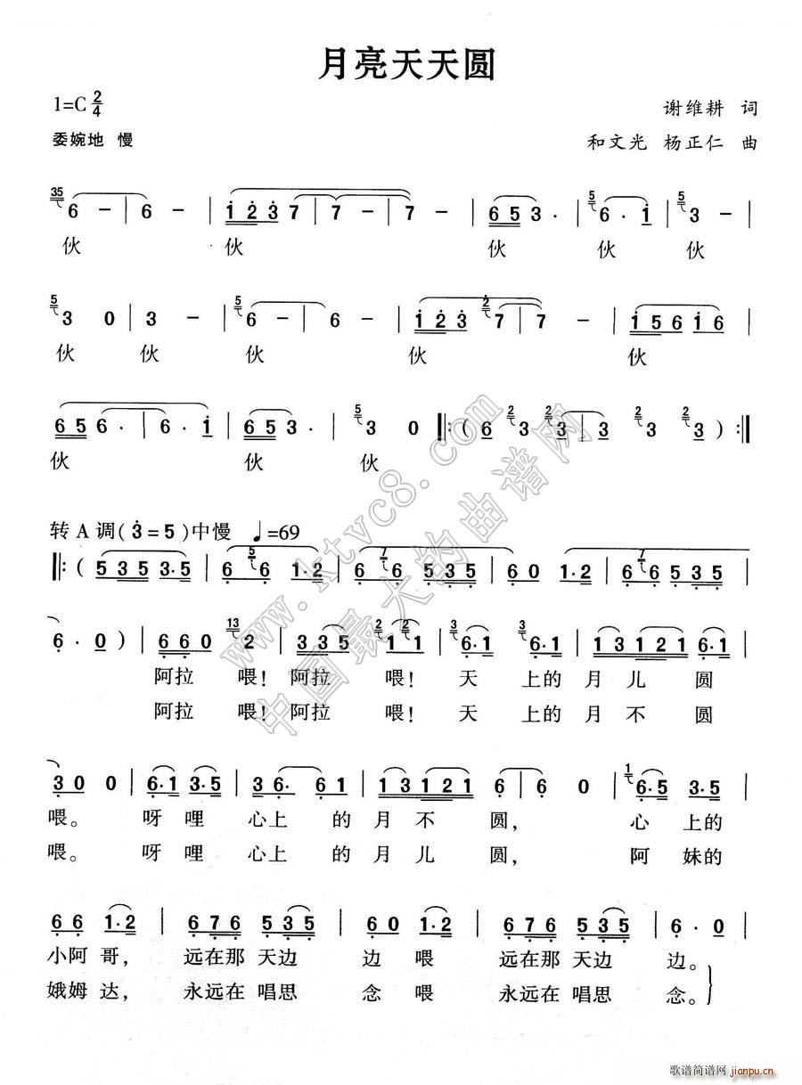 ��������A ����(���ָ��V)1