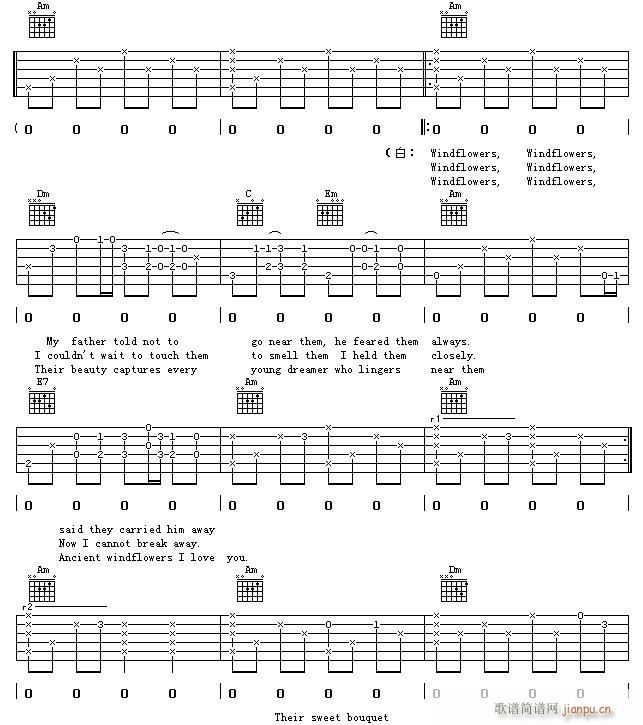 Wind Flower(ʮ�ּ�����)1