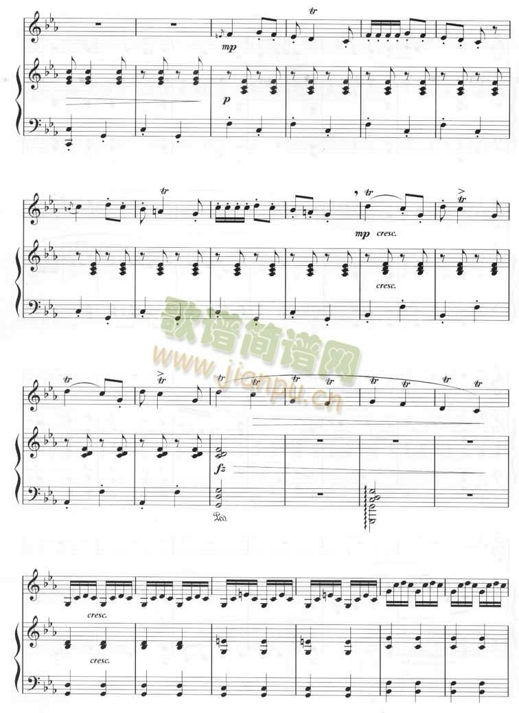 ����(�Ѻ��V)8