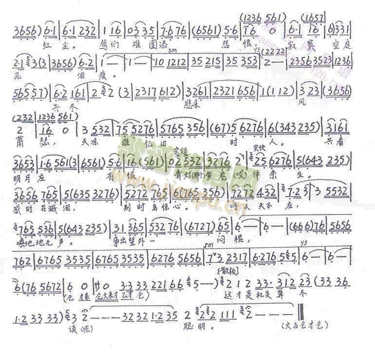 �������_�29-35(����)5