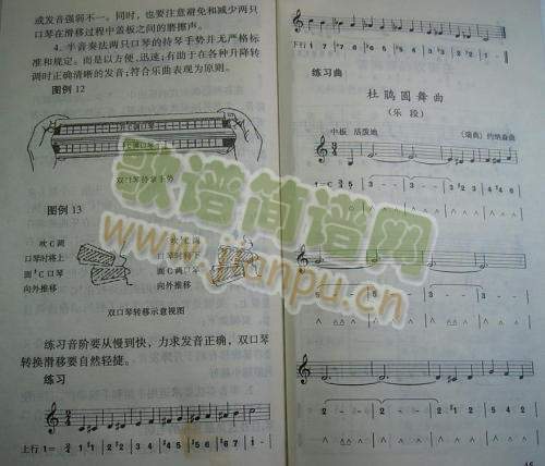 �Sعǧ18-25(����)5