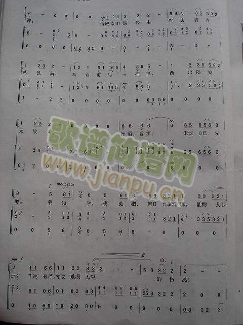 �(y��ng)�P(gu��n)���B(�Ź~�P���V)3