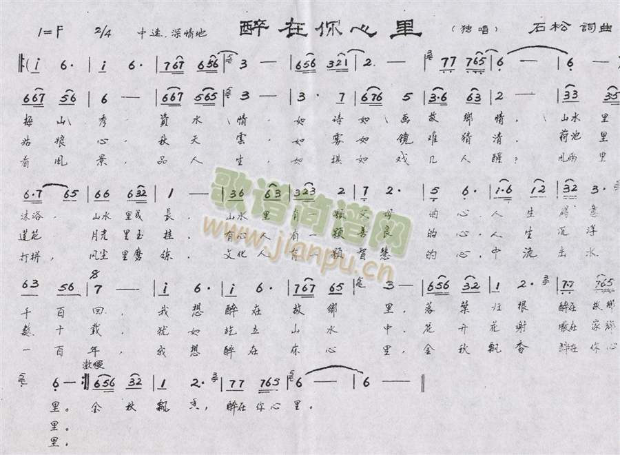 ����������(���ָ��V)1