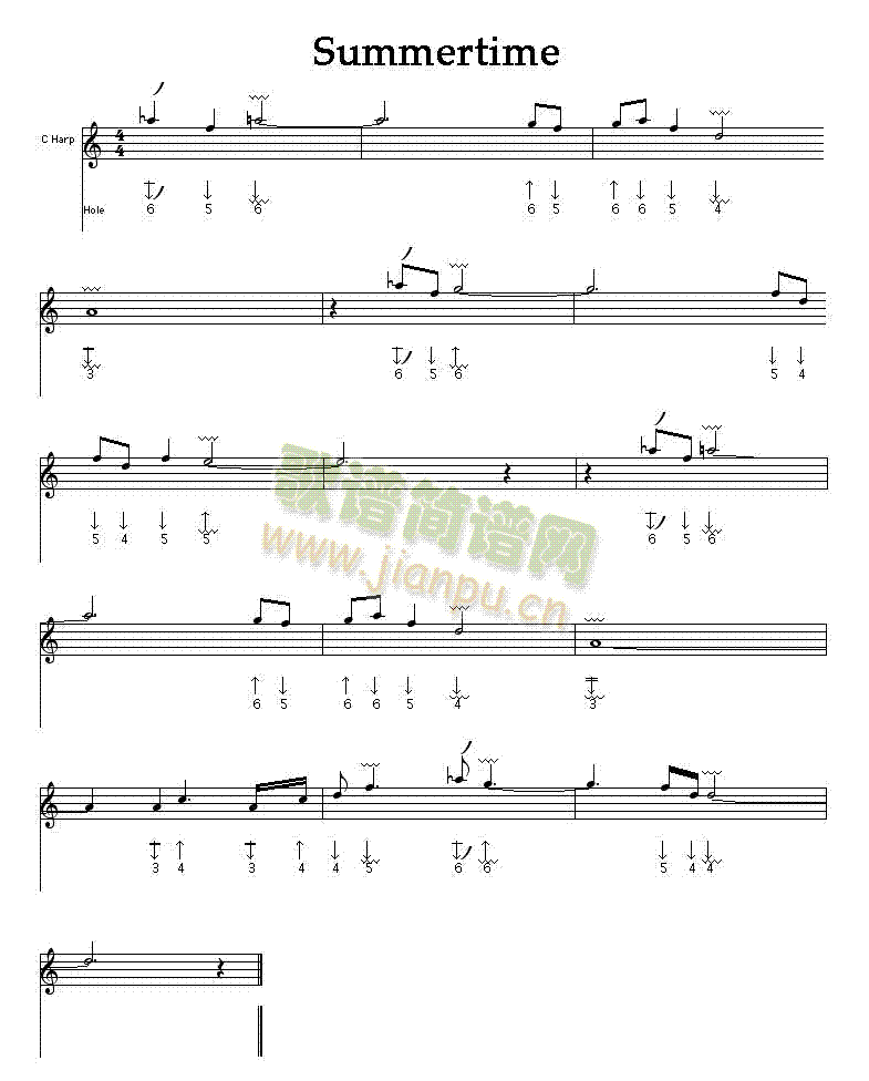 Summertime�����V(������(l�� )�V)1