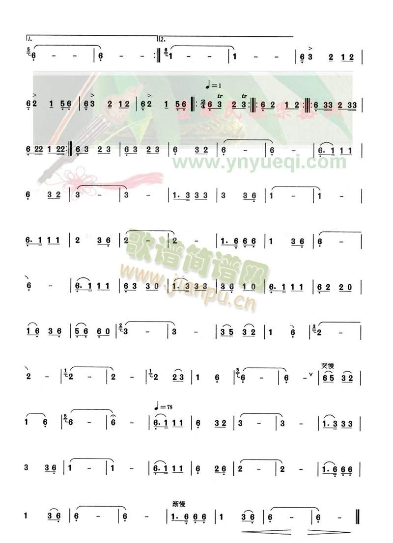 ��ľ׃����(���J�z�V)3