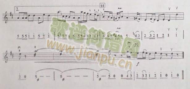 �����{(����)5