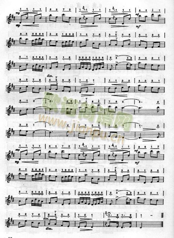 ����(���ָ��V)1