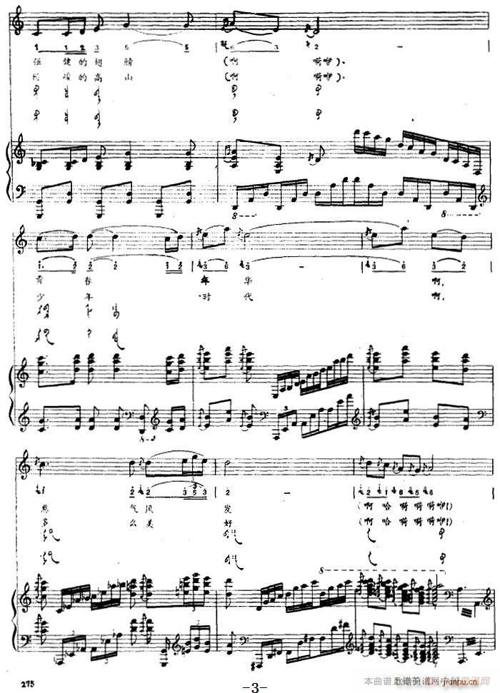 ��ɫ���� �ɹ���(����V)3