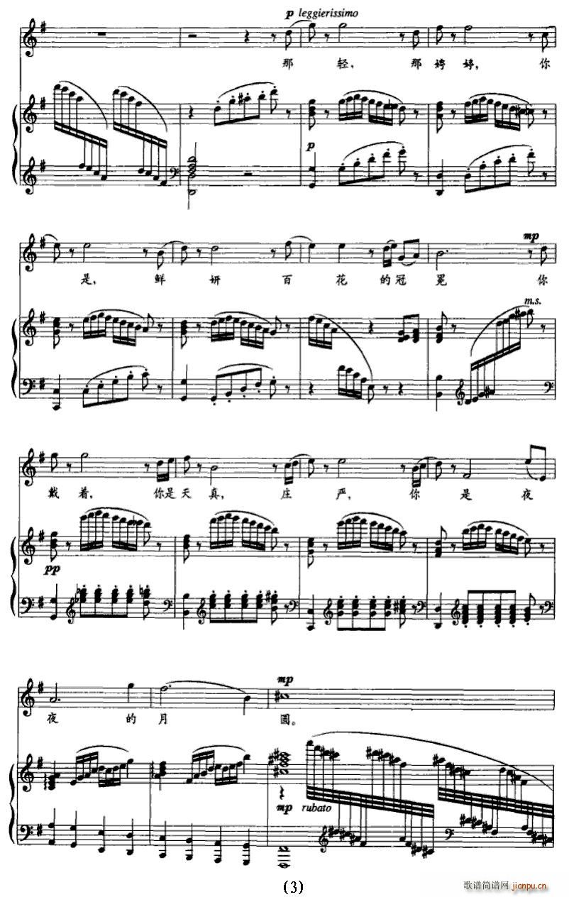 �������g��������(���ָ��V)3