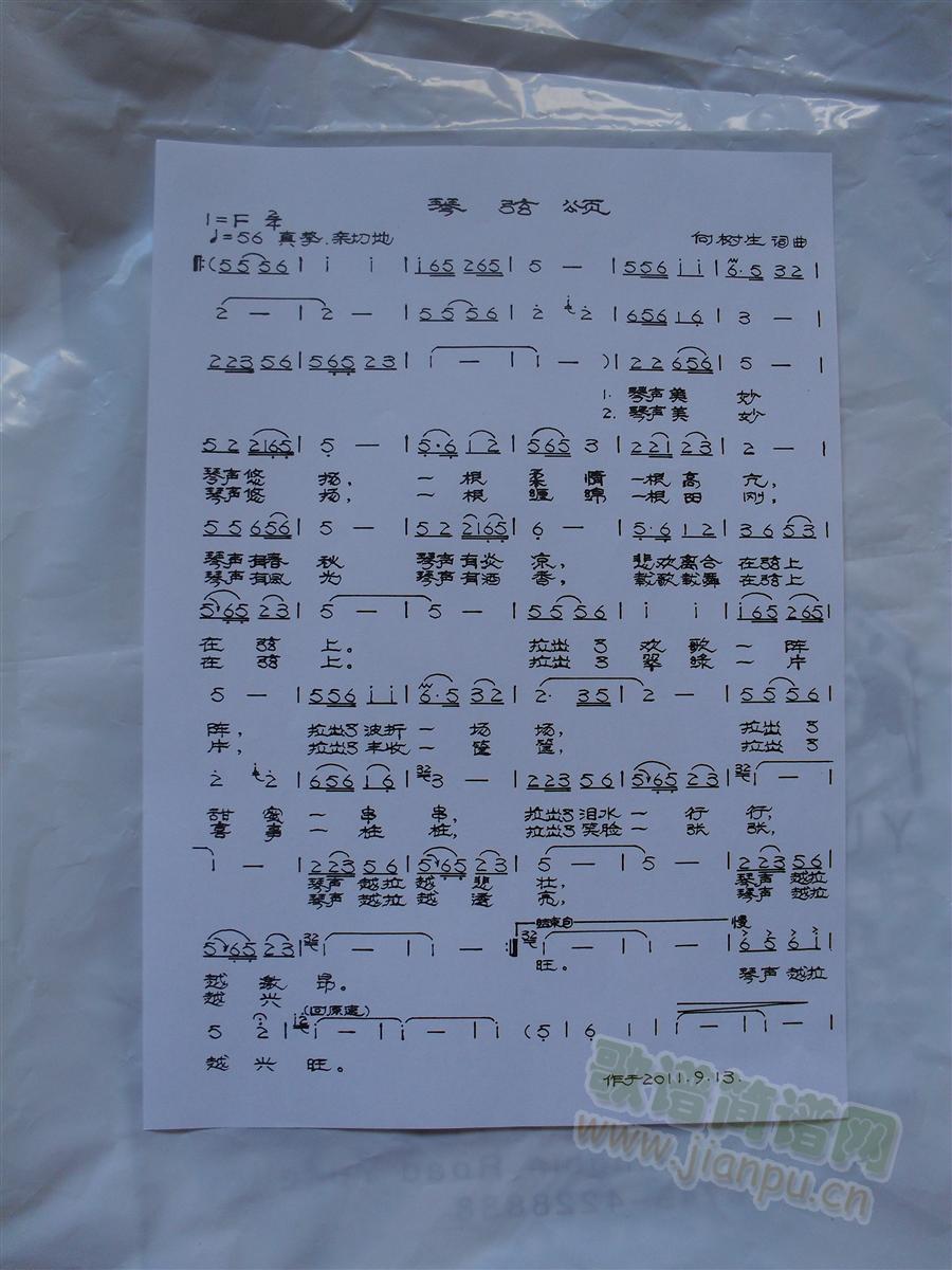 �����(���ָ��V)1