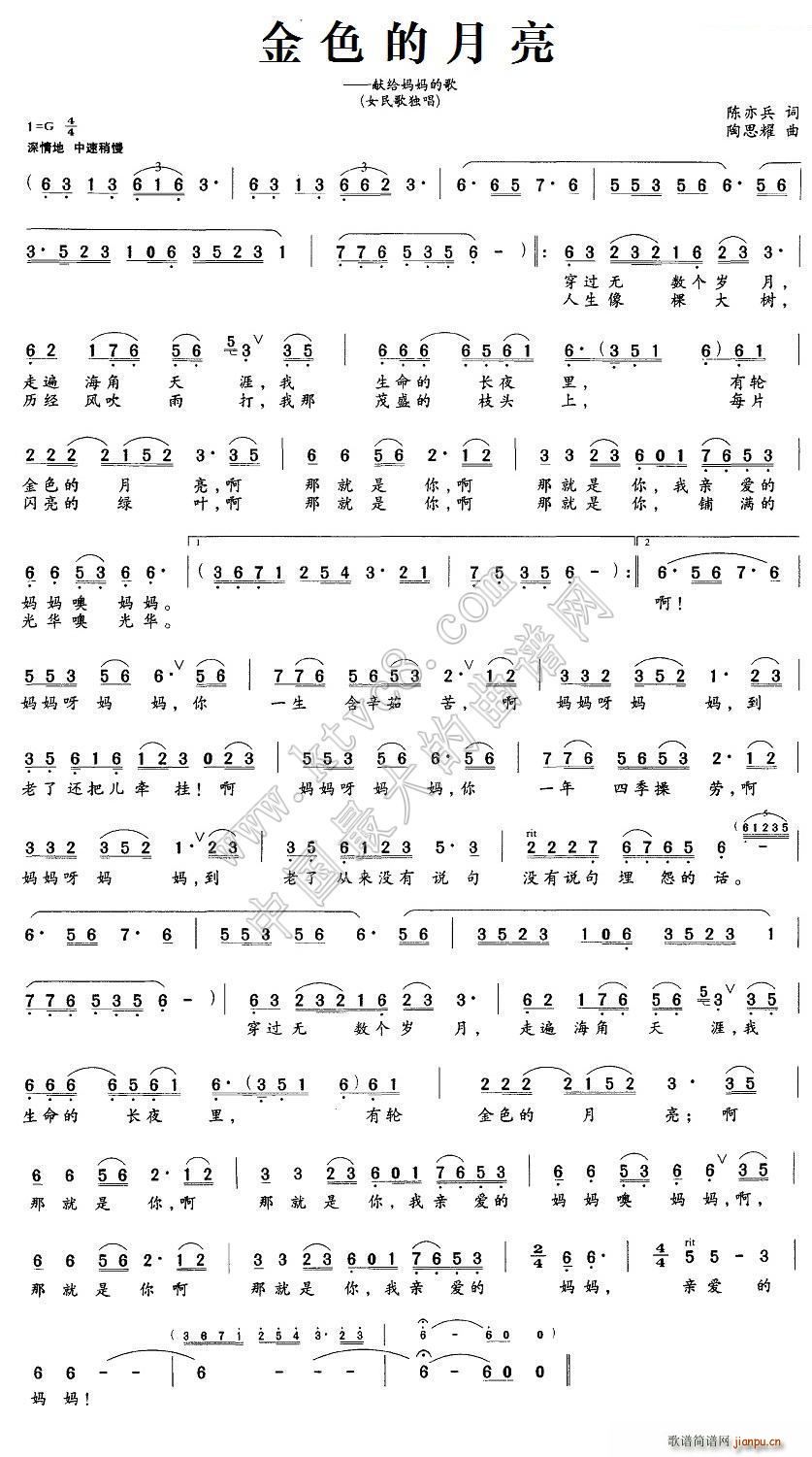 ��ɫ������(���ָ��V)1