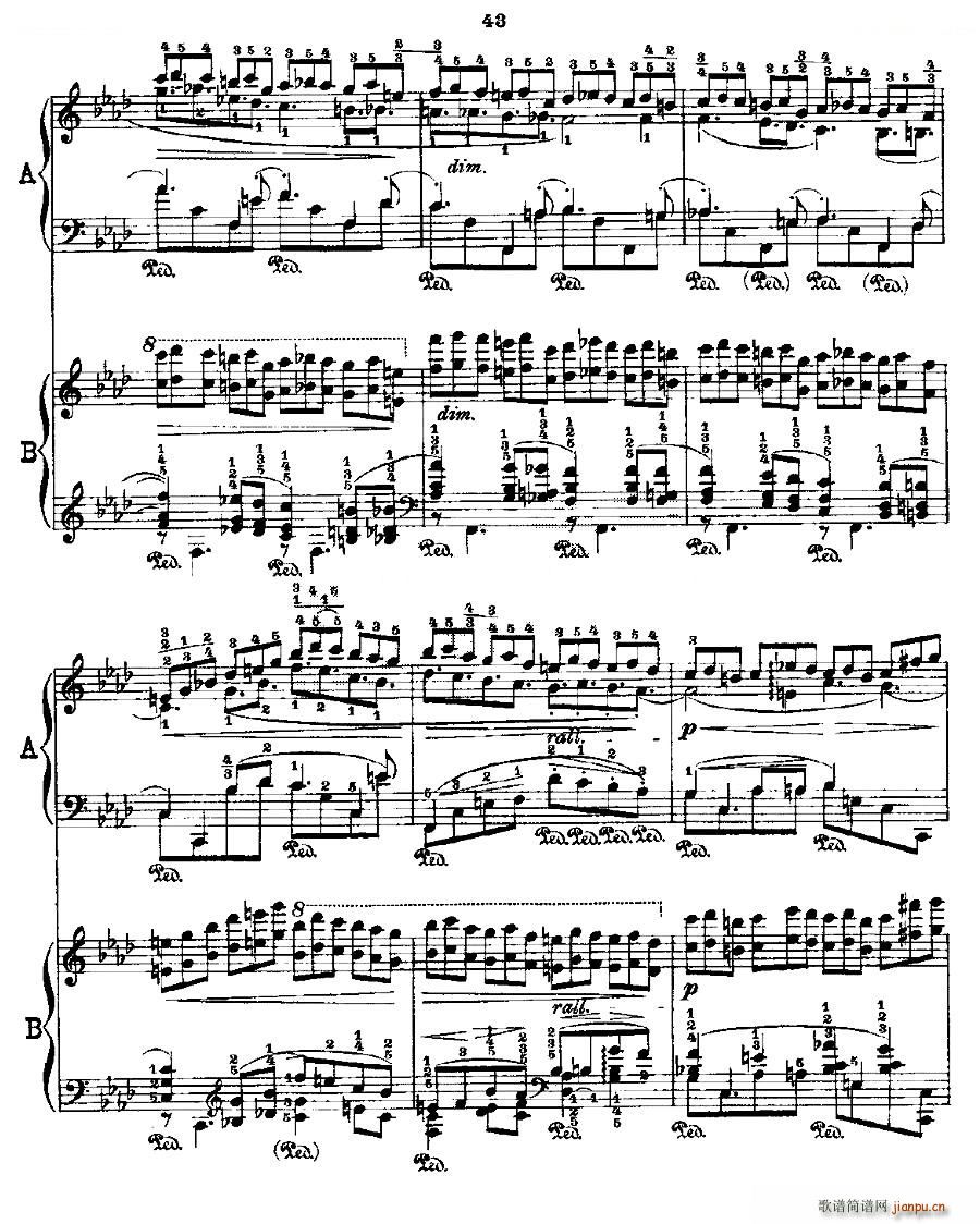 Ф�� ������ Fr Chopin Op 25 No2 3(����V)5