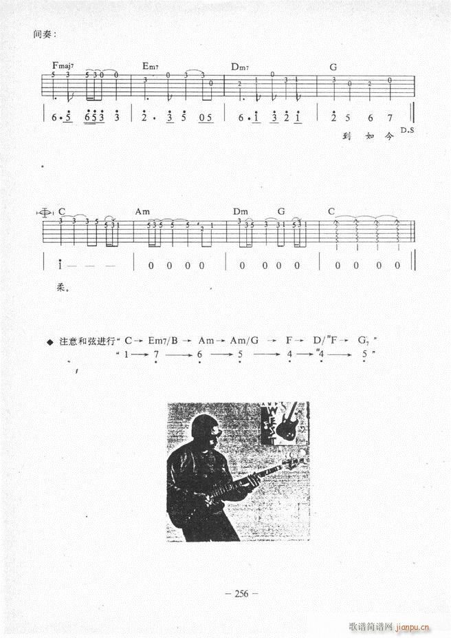 ���{�����̳�241 304(�����V)16