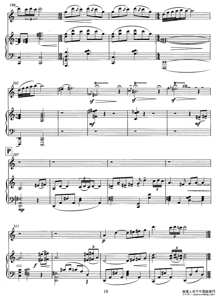 �w��P16(���ָ��V)1