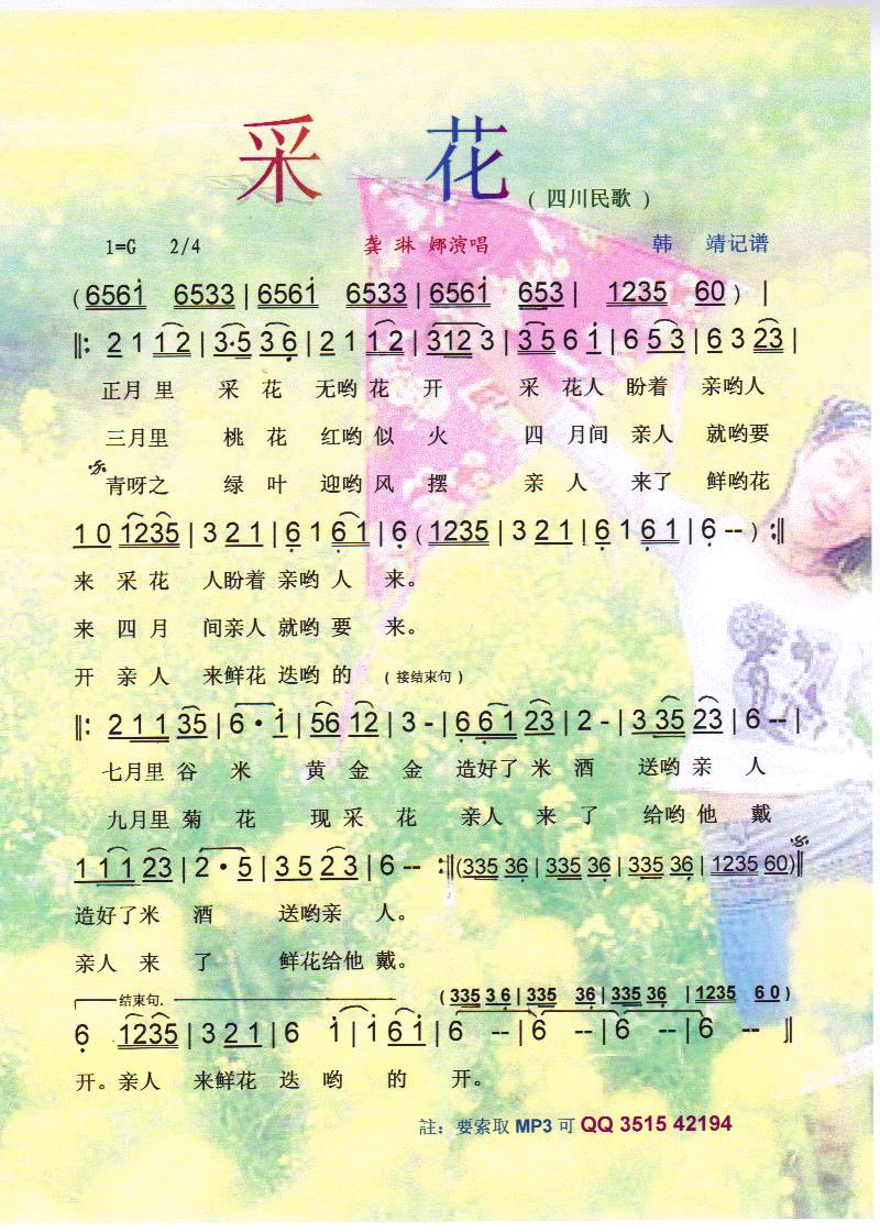 �ɻ������V��(���ָ��V)1