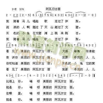 �����չ���(���ָ��V)1