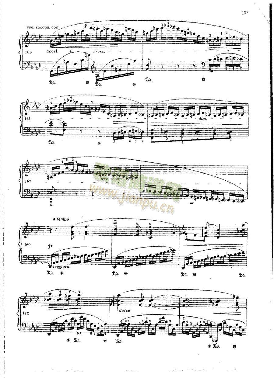 ������OP.52�I�P(p��n)�(l��i)���(������(l�� )�V)11