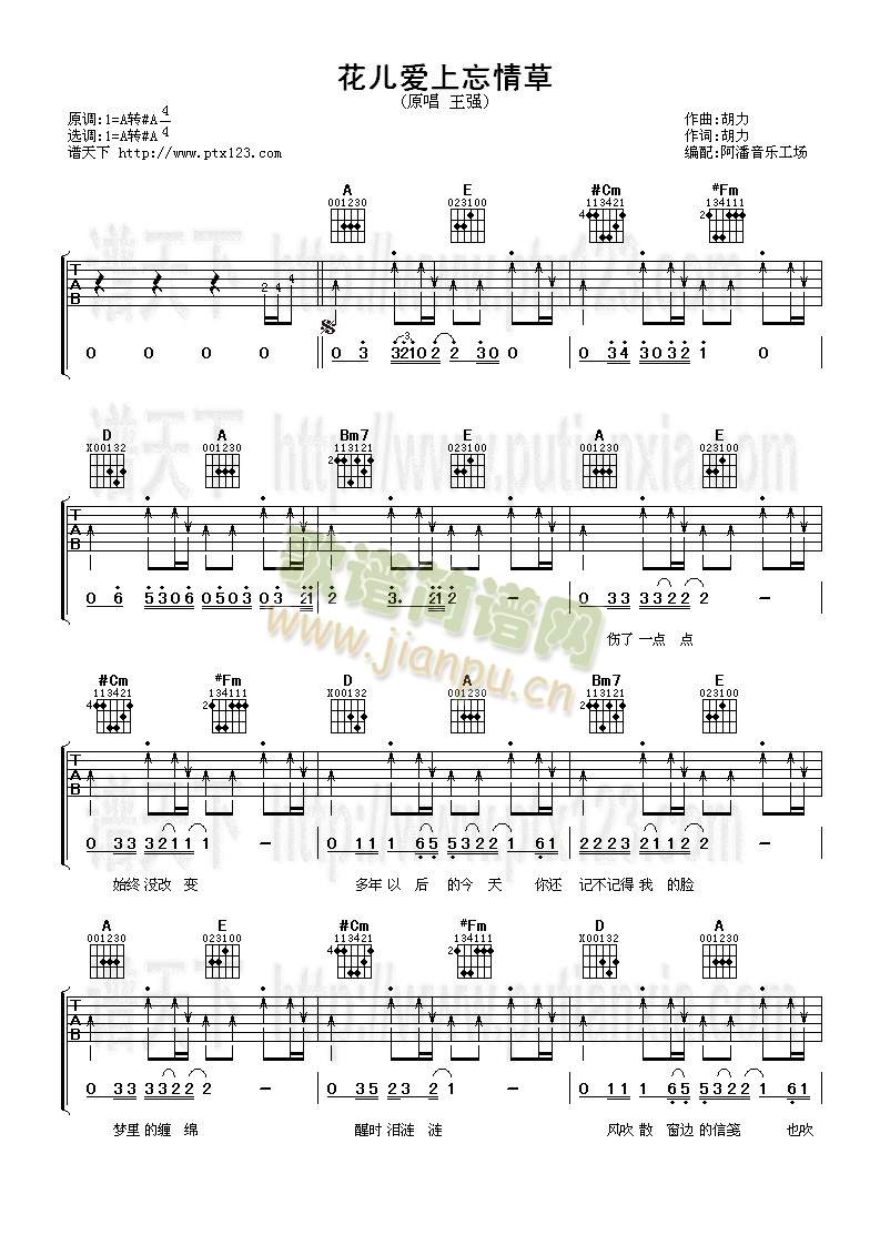 ������(��i)�������(�����V)1