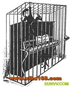 daiyong2(������(l�� )�V)8