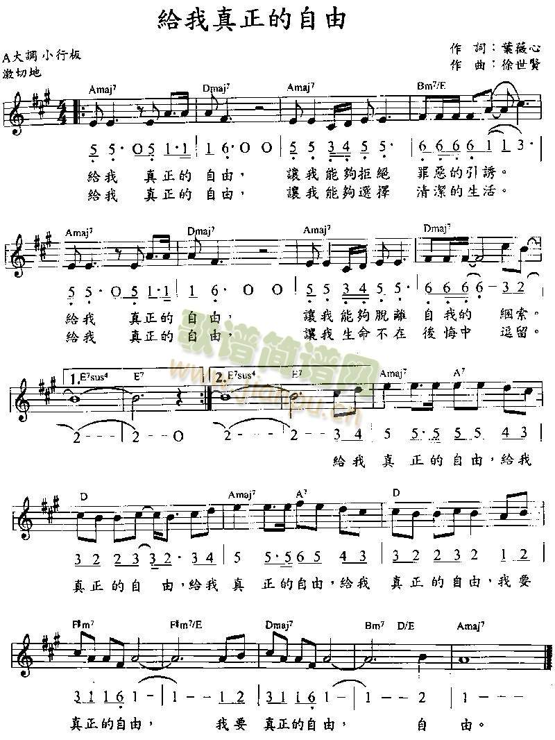 �o������������(����)1