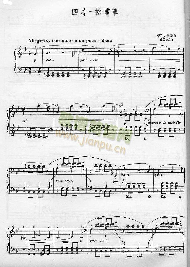 ���¡�����ѩ��(����V)1