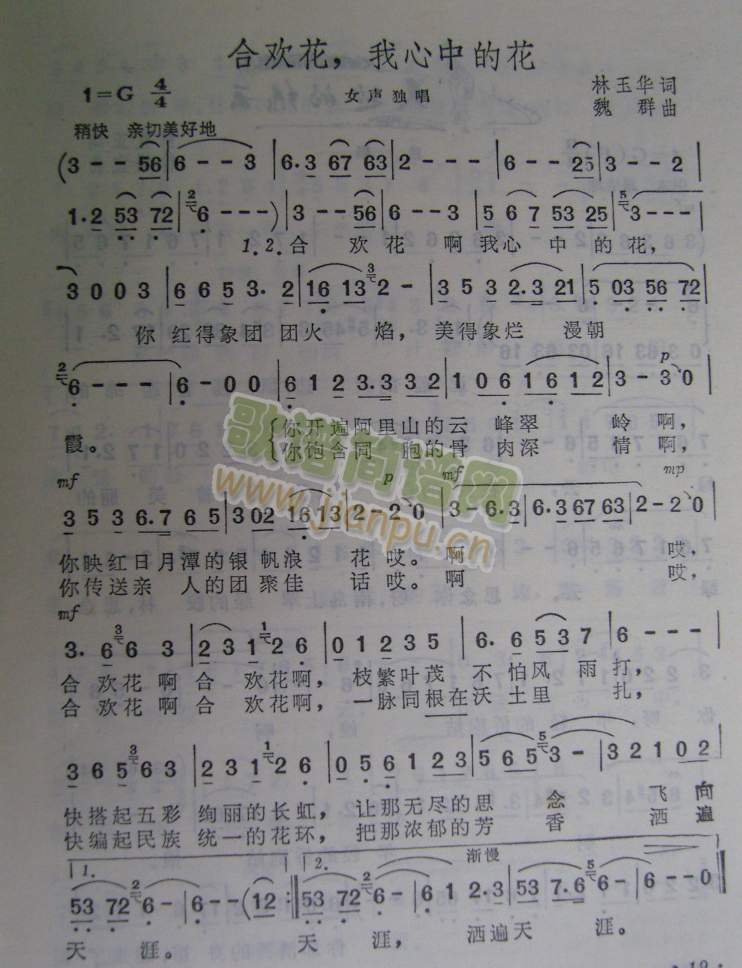 �Ϛg���������еĻ�(���ָ��V)1