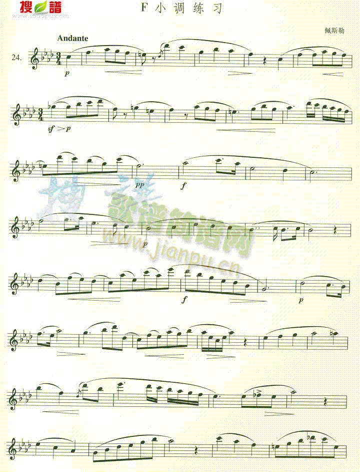 FС�{����(�_��˹�V)1