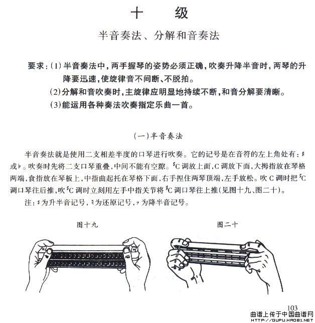 ����ʮ����С������(����)1