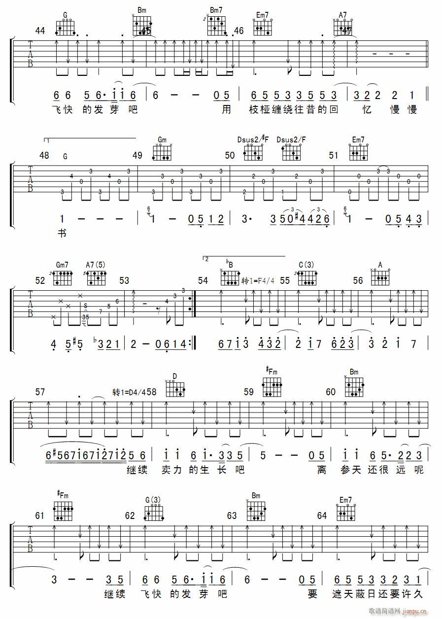 �� ��������(�����V)3