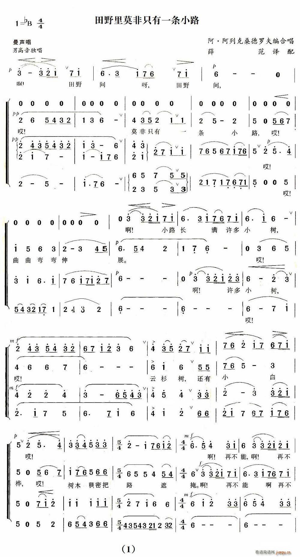 ��ҰĪ��ֻ��һ�lС·(ʮ�ּ�����)1