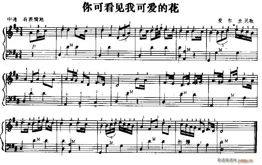 ��ɿ�Ҋ(ji��n)�ҿɐ�(��i)�Ļ� ��(��i)���m���(���L(f��ng)���V)1