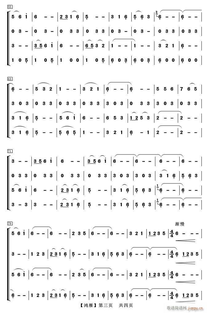 ���� �Ƕ��V 3(���V)1