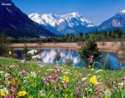 �W(w��ng)���S�L(f��ng)(����)1