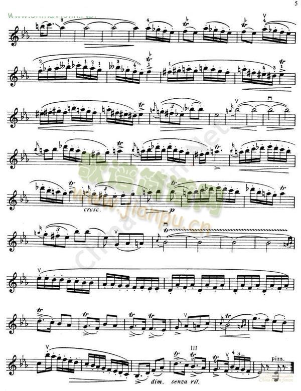 ���ƴ�-DINICUHora(С�����V)3