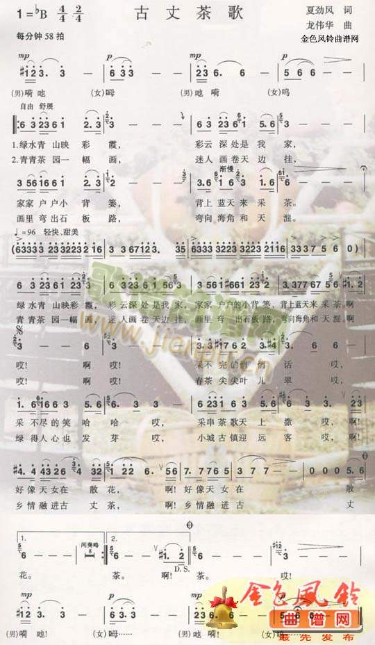 ���ɲ��(���ָ��V)1