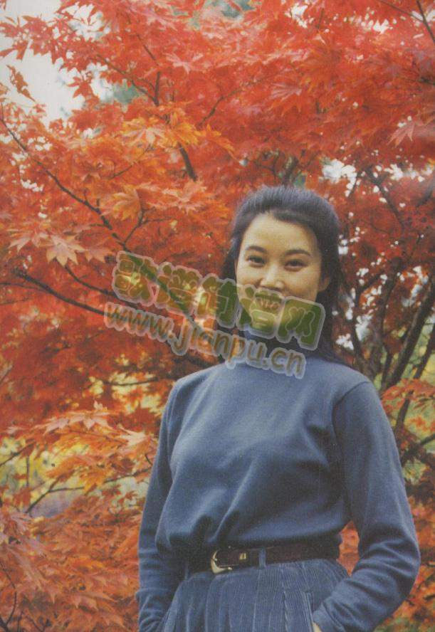 �O��(���ָ��V)3