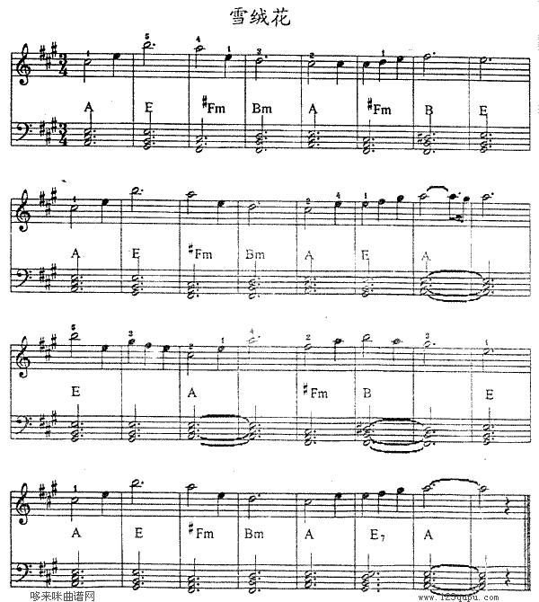 ѩ�q��(������V)1