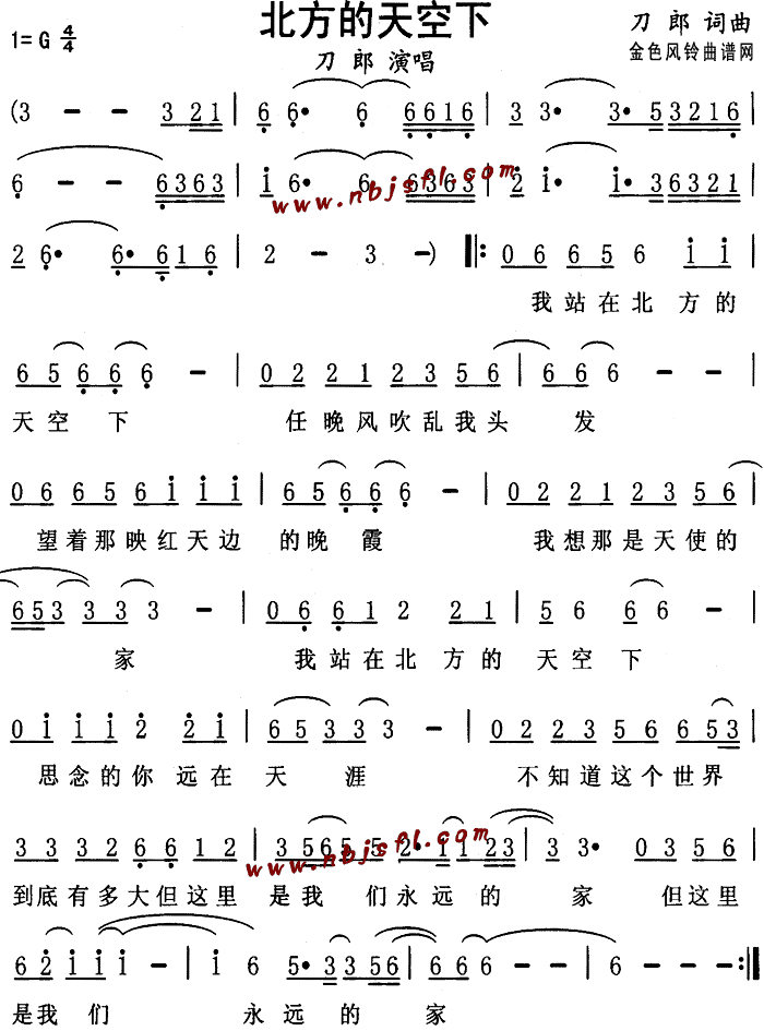 �����������(���ָ��V)1